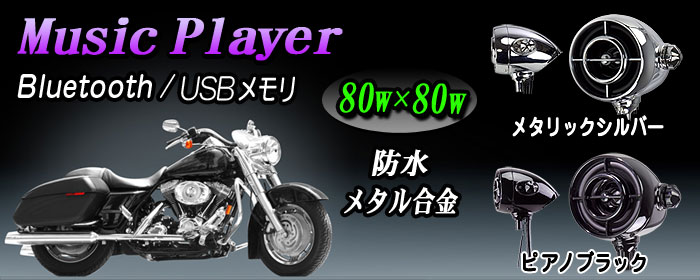 Хԡ485MT