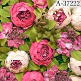 t[EH[a-37222