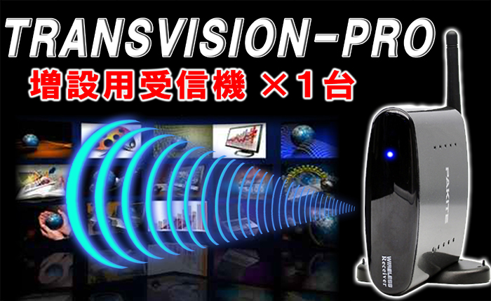 ӥǥȥ󥹥ߥåڥȥ󥹥ӥ ץ/Transvision Pro Ѽ1